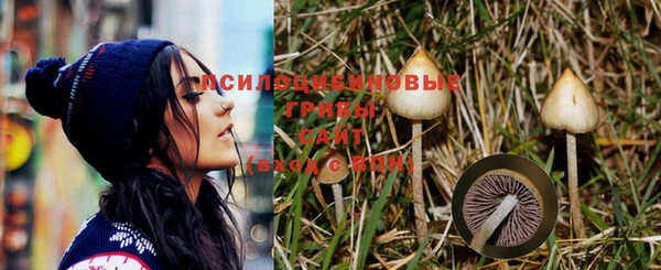 стафф Бронницы